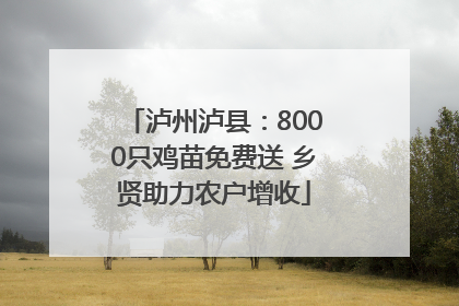 泸州泸县：8000只鸡苗免费送 乡贤助力农户增收