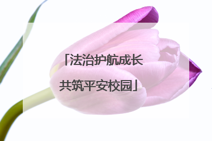法治护航成长 共筑平安校园