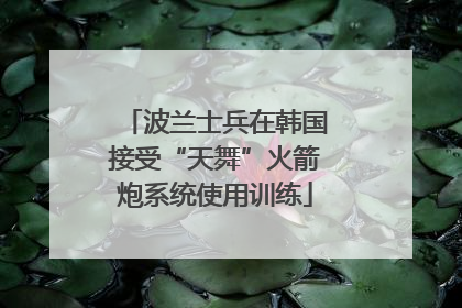 波兰士兵在韩国接受“天舞”火箭炮系统使用训练