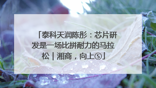 泰科天润陈彤：芯片研发是一场比拼耐力的马拉松｜湘商，向上⑤