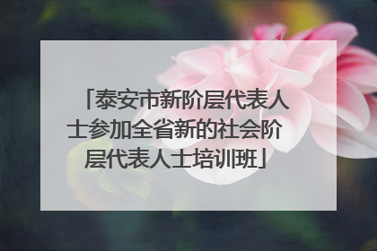 泰安市新阶层代表人士参加全省新的社会阶层代表人士培训班