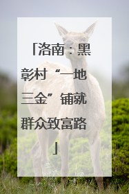 洛南：黑彰村“一地三金”铺就群众致富路