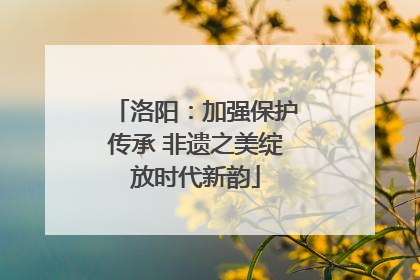 洛阳：加强保护传承 非遗之美绽放时代新韵