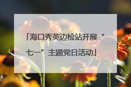 海口秀英边检站开展“七一”主题党日活动