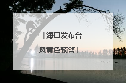 海口发布台风黄色预警