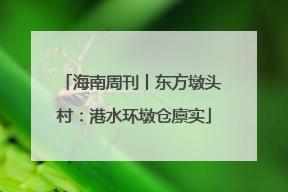 海南周刊丨东方墩头村：港水环墩仓廪实