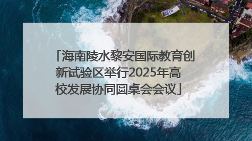 海南陵水黎安国际教育创新试验区举行2025年高校发展协同圆桌会会议