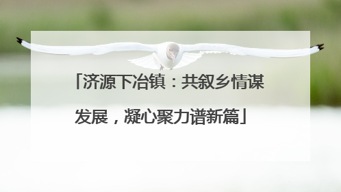 济源下冶镇：共叙乡情谋发展，凝心聚力谱新篇