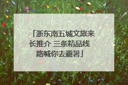 浙东南五城文旅来长推介 三条精品线路喊你去避暑