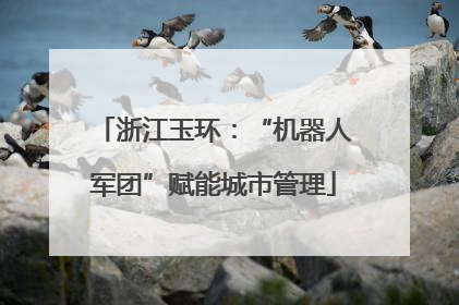 浙江玉环：“机器人军团”赋能城市管理