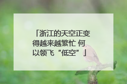 浙江的天空正变得越来越繁忙 何以领飞“低空”