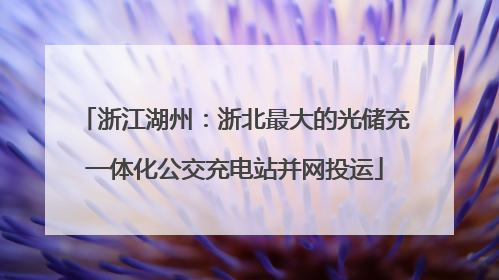 浙江湖州：浙北最大的光储充一体化公交充电站并网投运