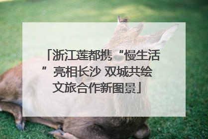浙江莲都携“慢生活”亮相长沙 双城共绘文旅合作新图景