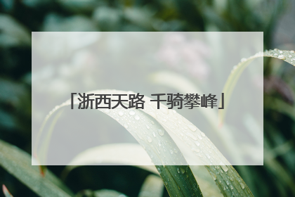 浙西天路 千骑攀峰