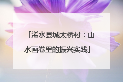 浠水县城太桥村：山水画卷里的振兴实践
