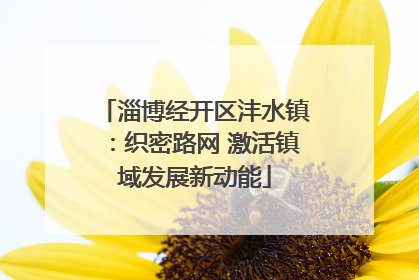 淄博经开区沣水镇：织密路网 激活镇域发展新动能