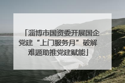淄博市国资委开展国企党建“上门服务月”破解难题助推党建赋能