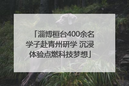 淄博桓台400余名学子赴青州研学 沉浸体验点燃科技梦想