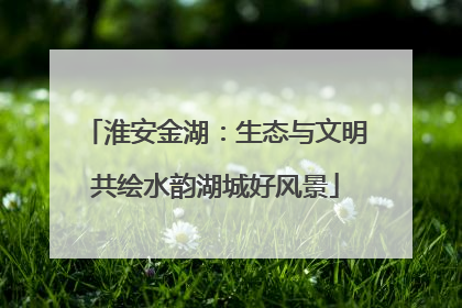 淮安金湖：生态与文明共绘水韵湖城好风景