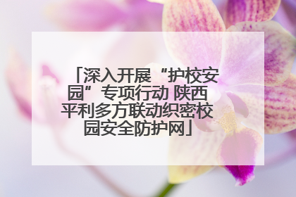 深入开展“护校安园”专项行动 陕西平利多方联动织密校园安全防护网