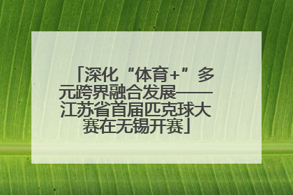 深化“体育+”多元跨界融合发展——江苏省首届匹克球大赛在无锡开赛
