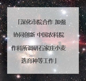 深化市院合作 加强协同创新 中国农科院作科所调研石家庄小麦选育种等工作