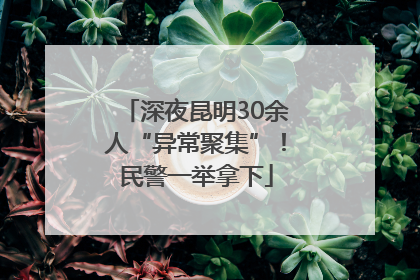 深夜昆明30余人“异常聚集”！民警一举拿下