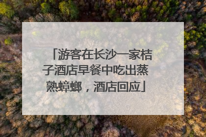 游客在长沙一家桔子酒店早餐中吃出蒸熟蟑螂，酒店回应