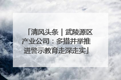 清风头条｜武陵源区产业公司：多措并举推进警示教育走深走实