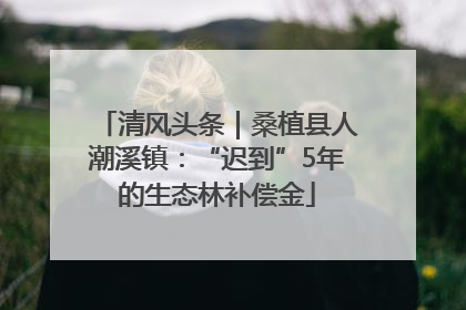 清风头条｜桑植县人潮溪镇：“迟到”5年的生态林补偿金