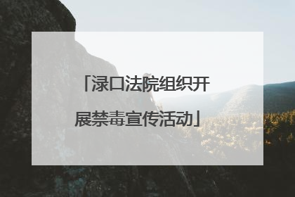 渌口法院组织开展禁毒宣传活动