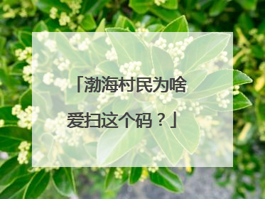 渤海村民为啥爱扫这个码？