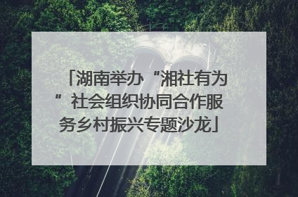 湖南举办“湘社有为”社会组织协同合作服务乡村振兴专题沙龙