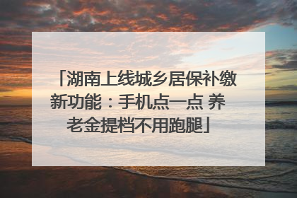 湖南上线城乡居保补缴新功能：手机点一点 养老金提档不用跑腿
