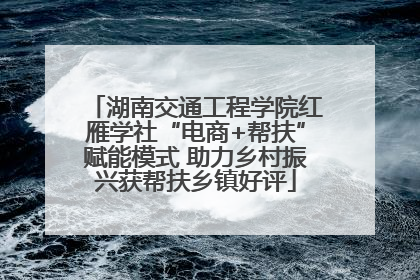 湖南交通工程学院红雁学社“电商+帮扶”赋能模式 助力乡村振兴获帮扶乡镇好评