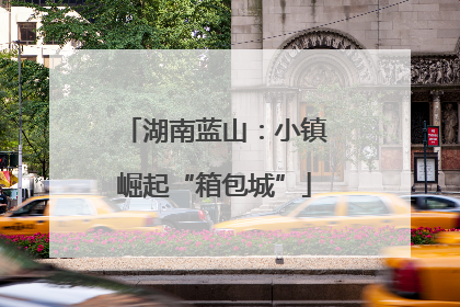 湖南蓝山：小镇崛起“箱包城”