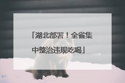 湖北部署！全省集中整治违规吃喝