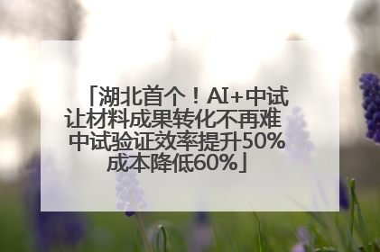 湖北首个！AI+中试让材料成果转化不再难 中试验证效率提升50%成本降低60%