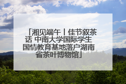 湘见端午丨佳节叙茶话 中南大学国际学生国情教育基地落户湖南省茶叶博物馆