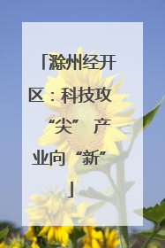 滁州经开区：科技攻“尖” 产业向“新”