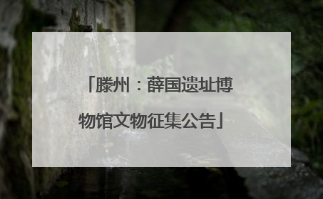 滕州：薛国遗址博物馆文物征集公告