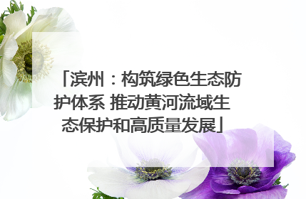 滨州：构筑绿色生态防护体系 推动黄河流域生态保护和高质量发展