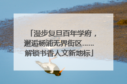 漫步复旦百年学府，邂逅杨浦无界街区……解锁书香人文新地标