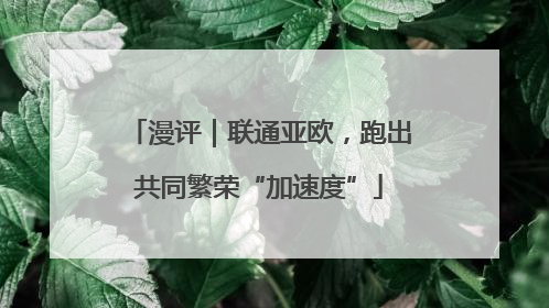 漫评｜联通亚欧，跑出共同繁荣“加速度”