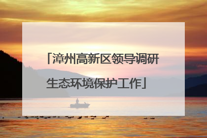 漳州高新区领导调研生态环境保护工作