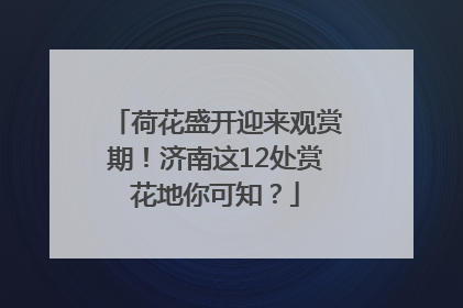荷花盛开迎来观赏期！济南这12处赏花地你可知？
