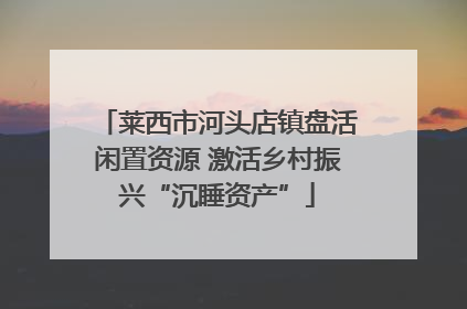 莱西市河头店镇盘活闲置资源 激活乡村振兴“沉睡资产”