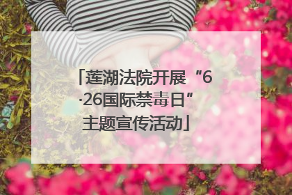 莲湖法院开展“6·26国际禁毒日”主题宣传活动
