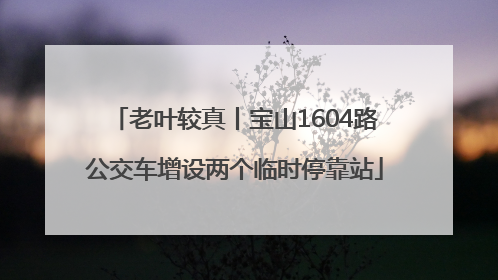 老叶较真丨宝山1604路公交车增设两个临时停靠站