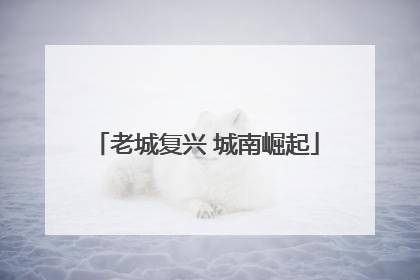 老城复兴 城南崛起